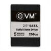 EVM SATA SSD 256 GB - LXINDIA.COM