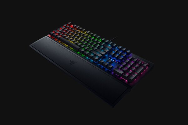 Blackwidow V3 2 - LXINDIA.COM