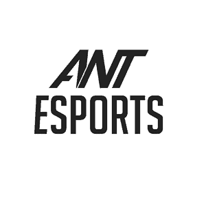 Ant Esports Gaming Chairs