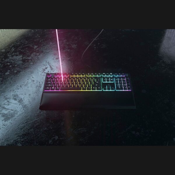 RAZER ORNATA V21 - LXINDIA.COM