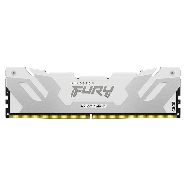 FURY Renegade Silver White DDR5 1 zm lg - LXINDIA.COM