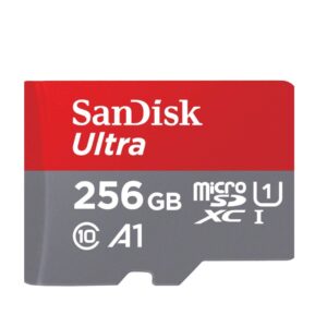 SANDISK 256 - LXINDIA.COM