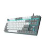 AULA F3287 Rainbow Backlight TKL Tenkeyless Keyboard - LXINDIA.COM