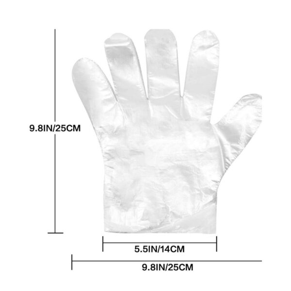 CFGROW Disposable Plastic Gloves Large A - LXINDIA.COM