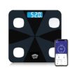 Hoffen HO19 Bluetooth BMIBMR Weight Machine - LXINDIA.COM