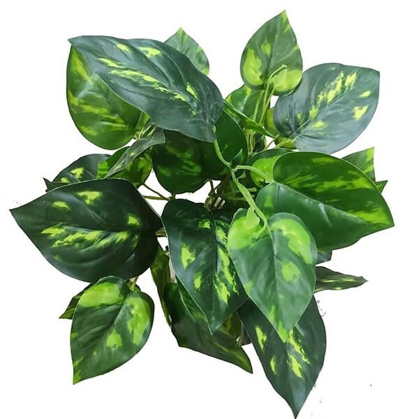 BAARIG Natural Looking Artificial Money Plant with Pot1 - LXINDIA.COM