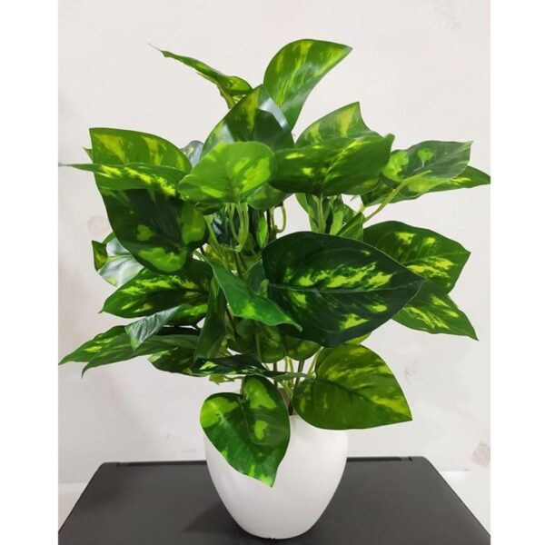 BAARIG Natural Looking Artificial Money Plant with Pot2 - LXINDIA.COM