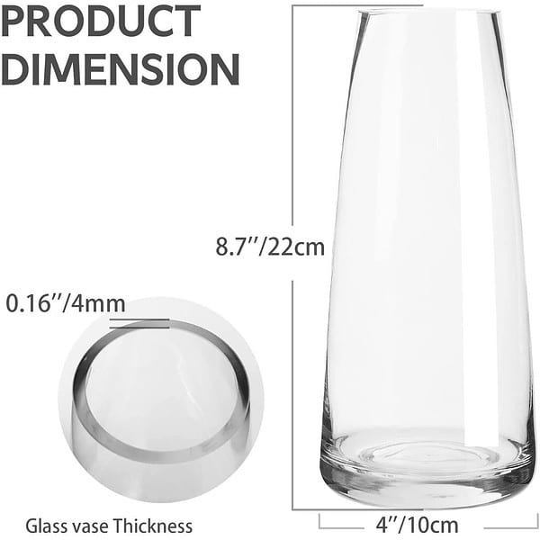 BS AMOR Clear Glass Vase 8.8 Inch1 - LXINDIA.COM