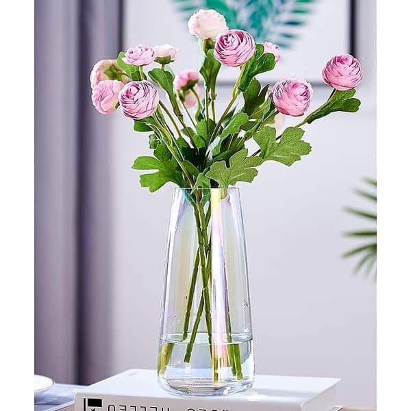 BS AMOR Clear Glass Vase 8.8 Inch2 - LXINDIA.COM