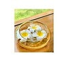 BS AMOR Flower Round Shape Glass Vase - LXINDIA.COM