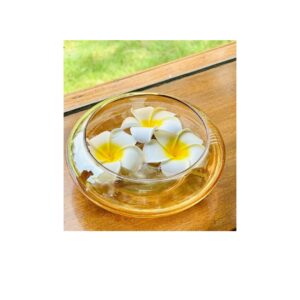 BS AMOR Flower Round Shape Glass Vase - LXINDIA.COM