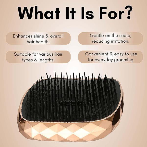 Beaute Secrets Detangling Hair Comb Brush1 - LXINDIA.COM