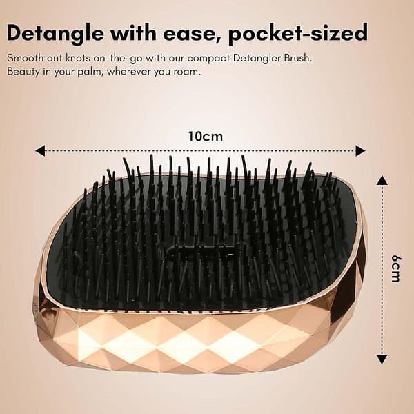 Beaute Secrets Detangling Hair Comb Brush2 - LXINDIA.COM