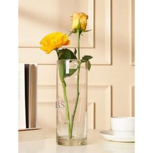 Bs amor Set of 1 Glass Cylinder Vases 8.5 Inch Tall - LXINDIA.COM