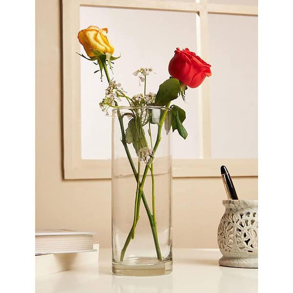 Bs amor Set of 1 Glass Cylinder Vases 8.5 Inch Tall1 - LXINDIA.COM