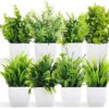 Dekorly Artificial Potted Plants Set of 8 - LXINDIA.COM