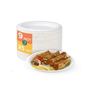 ECO SOUL 25 Pack Disposable Bagasse Plates - LXINDIA.COM