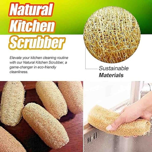 Indigenous Living Natural Kitchen Scrubber 2 - LXINDIA.COM