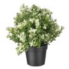 PAPERI Artificial Plant Indoor Decorative Plastic Green Leaves with Pot - LXINDIA.COM