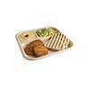 SANWALSA 3 Compartment Disposable Bagasse Plates - LXINDIA.COM