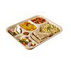 SANWALSA 5 Compartment Disposable Bagasse Plates - LXINDIA.COM