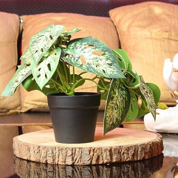 Tied Ribbons Pack Of 2 Artificial Plants With Pot Stand For Home Decor - LXINDIA.COM