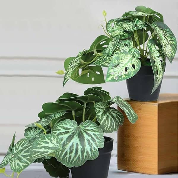 Tied Ribbons Pack Of 2 Artificial Plants With Pot Stand For Home Decor1 - LXINDIA.COM