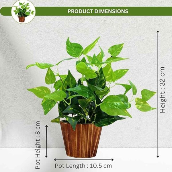 ancymart Artificial Money Plant Leaves in Wood Pot Pefect Decoration for Home2 - LXINDIA.COM