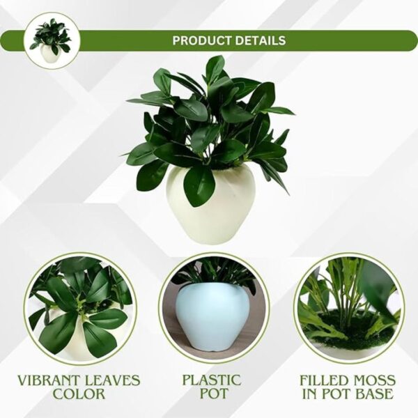 fancymart Artificial Rubber Plant in 4 inch White Apple Pot2 - LXINDIA.COM