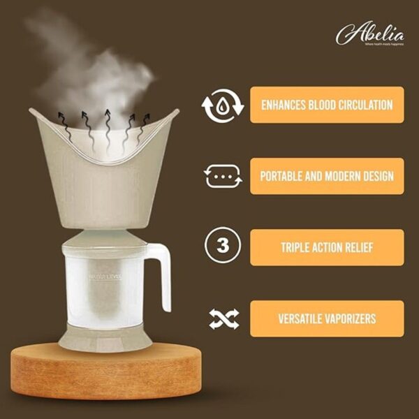 Abelia Vaporizer Steamer 3 in 1 Electric Vapour Machine Steamer2 - LXINDIA.COM