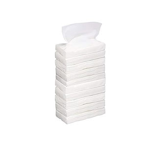 AllExtreme EXCTP10 2 Ply Soft Facial Tissue Paper - LXINDIA.COM