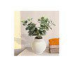 Anko Artificial Eucalyptus Plant with White Vase - LXINDIA.COM