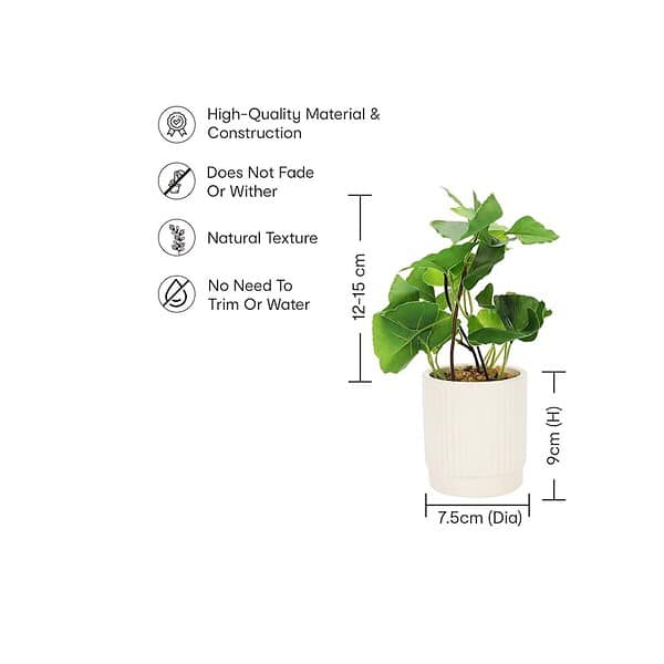 Anko Mini Artificial Plant and White Ceramic Pot A - LXINDIA.COM