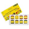 Azafran Organic Crayons umbo Size for Easy Grip and Smooth Coloring - LXINDIA.COM