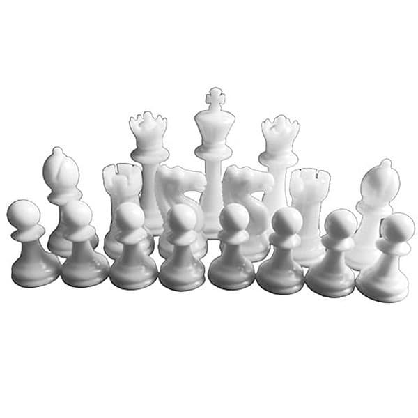 Bragnam Adult 17 X 17 Fide Standard Chess Set 2 - LXINDIA.COM