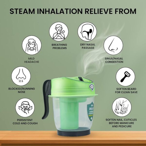 Crescent Professional Delux Steamer for Cough and Facial Ice Green2 - LXINDIA.COM