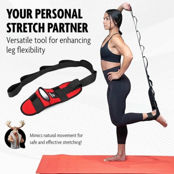 DMoose Fitness Foot and Leg Stretcher for Plantar Fasciitis Black 2 - LXINDIA.COM