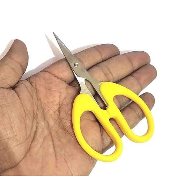 DeLegarde Small Sharp Scissor1 - LXINDIA.COM