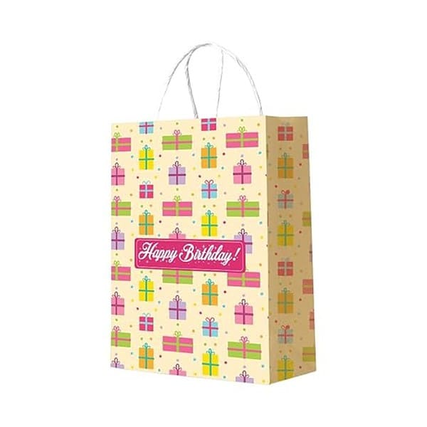 Festiko 10 Pcs Paper Gift Bags - LXINDIA.COM