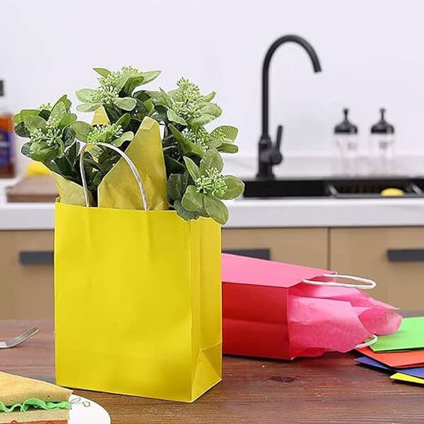 Festiko 12 Pcs Colorful Multicolor Paper Goodie Bags 2 - LXINDIA.COM