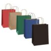 Festiko® 12 Pcs Multicolor Matte Paper Goodie Bags - LXINDIA.COM