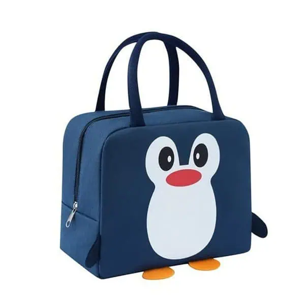 Flywind Insulated Lunch Bag for kids - LXINDIA.COM