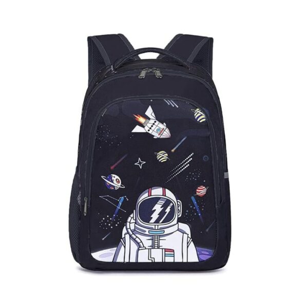 Frantic Printed 20 L School Backpack Bag Blue - LXINDIA.COM