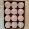 GDON Field Hockey Truf Hollow Practice Match Balls Pack of 12 White - LXINDIA.COM