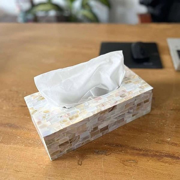 HOMEARTE INDIA Mother of Pearl Vintage Tissue Box Dispenser White 1 - LXINDIA.COM