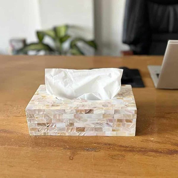 HOMEARTE INDIA Mother of Pearl Vintage Tissue Box Dispenser White 2 - LXINDIA.COM