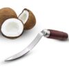 Homeaura CoconutNariyal Tool Coconut Meat Remover - LXINDIA.COM