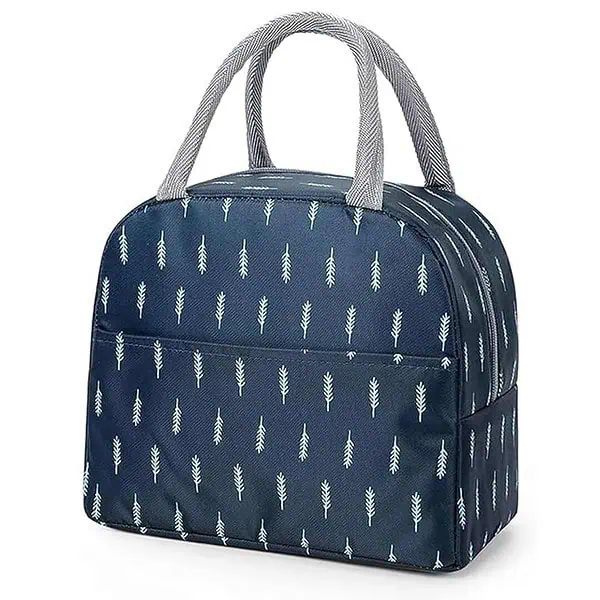 Krisus Lunch Bag for Office - LXINDIA.COM