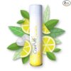 MANGALAM Campure Aerosol Air Freshener Pack Of 2 - LXINDIA.COM