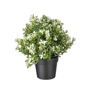 PAPERI Artificial Thyme Plant With Pot for Home Decor - LXINDIA.COM